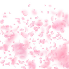 Sakura petals falling down. Romantic pink flowers gradient. Flying petals on white square background