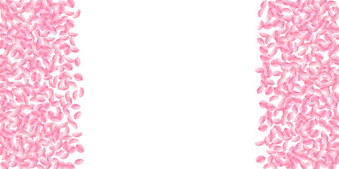 Sakura petals falling down. Romantic pink bright medium flowers. Thick flying cherry petals. Wide bo