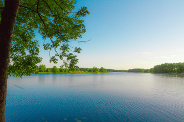  landscape shore of a blue river with tree branches