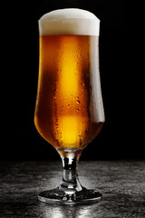 Glass of cold craft light beer on dark background..