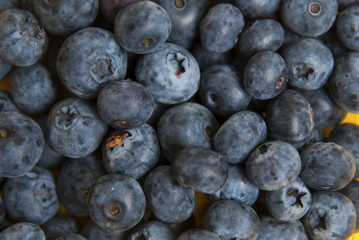 Heap of blueberries isolated on yellow colorful background. Summer vibe fruit berry with copy space. Ingredient for breakfast.