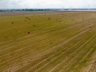 Obraz premium Bales of hay in the field. Harvesting hay for livestock feed. Landscape field with hay.