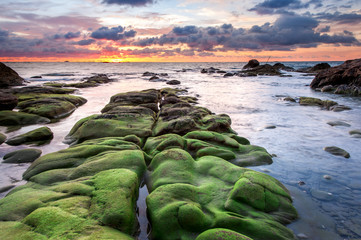 view of beautiful sunset sky at unknown beach in Sabah, Malaysia. Natural coastal rocks covered by green moss on the ground. soft focus due to long expose.