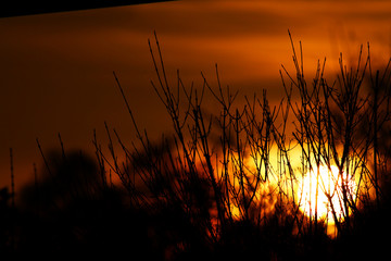 Sonnenuntergang hinter &Auml;sten