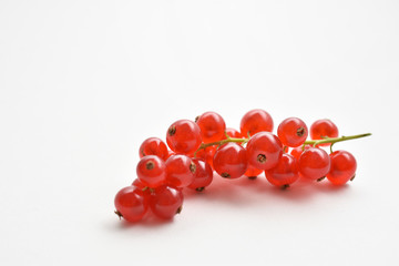 Red Currant isolated on a white background