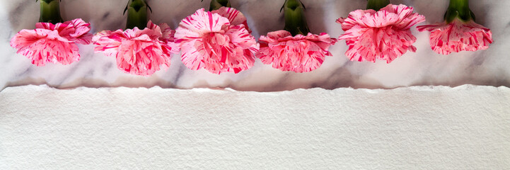 Pink carnations arranged in a row on a marble table with handmade paper below