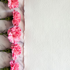 Pink flowers arranged in a row on a marble table with handmade paper on the right