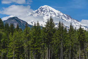 Mt Rainier