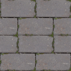Seamless pattern with old road tile with grass