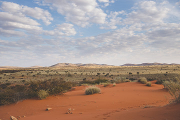 Fototapeta na wymiar Panoramic landscape photo views over the kalahari region in South Africa