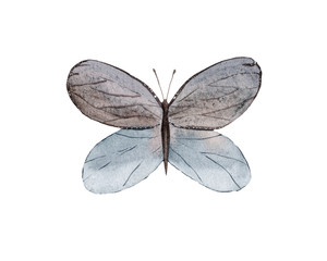 Fototapeta na wymiar Watercolor butterfly elements