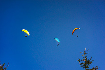 Parachutist Jumper in the blue sky