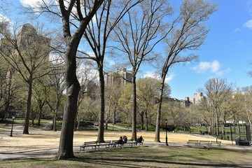 New-York, central park