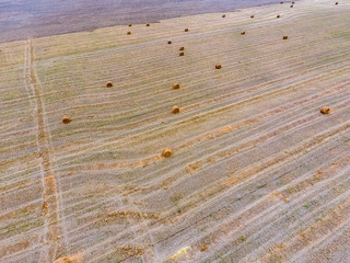 Fototapeta premium Bales of hay in the field. Harvesting hay for livestock feed. Landscape field with hay.