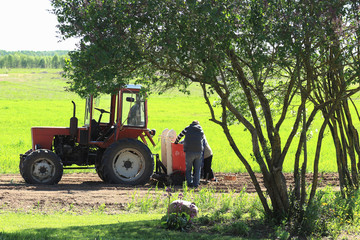 Planting potatoes with an old tractor