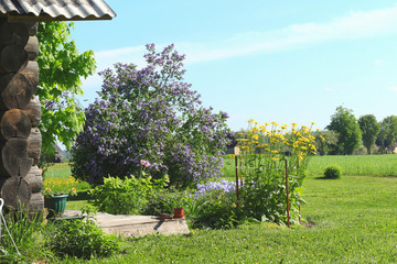 Spring sunny day in the countryside