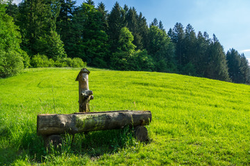 Wooden water fountain at edge of black forest hiking trail