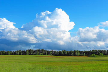 Landscape of field with green grass,forest and big white clouds