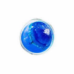 Fluid art in a petri dish. Colorful acrylic, ink, oil and watercolor marble paint splashes. Abstract fluid ocean of color or alien planet of liquid color.  Living colorful bacteria in a petri dish.