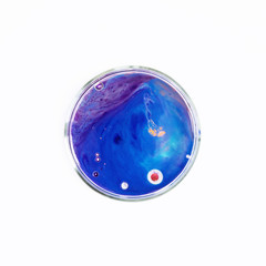 Fluid art in a petri dish. Colorful acrylic, ink, oil and watercolor marble paint splashes. Abstract fluid ocean of color or alien planet of liquid color.  Living colorful bacteria in a petri dish.