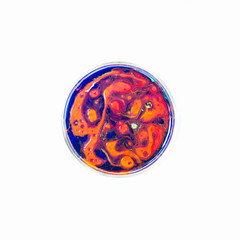 Fluid art in a petri dish. Colorful acrylic, ink, oil and watercolor marble paint splashes. Abstract fluid ocean of color or alien planet of liquid color.  Living colorful bacteria in a petri dish.