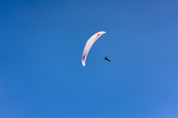 Parachutist Jumper in the blue sky
