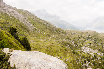 Sils, Furtschellas, Piz da la Margna, Silsersee, Seenplatte, Wanderweg, Val Fex,  Marmorè, Blumenweg, Alpen, Oberengadin, Graubünden, Sommer, Schweiz
