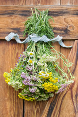 Herbs hang and dry on wooden background