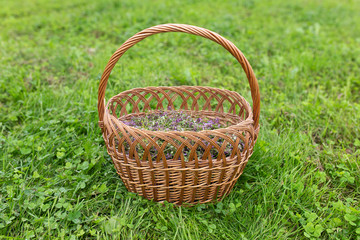 handmade basket with heather inside on grass background