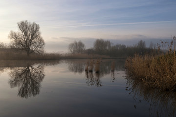 Nature along the A6 highway