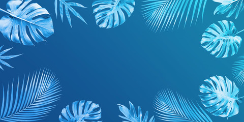 Exotic tropical leaves background.Nature and summer concepts