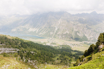 Fototapeta premium Sils, Furtschellas, Silsersee, Seenplatte, Wanderweg, Val Fex, Marmorè, Blumenweg, Alpen, Oberengadin, Graubünden, Sommer, Schweiz