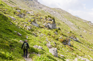 Fototapeta premium Sils, Furtschellas, Wanderweg, Val Fex, Marmorè, Blumenweg, Alpen, Oberengadin, Graubünden, Sommer, Schweiz
