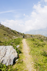 Sils, Furtschellas, Blumenweg, Wanderweg, Wanderer, Silsersee, Seenplatte, Val Fex,  Marmorè, Alpen, Oberengadin, Graubünden, Sommer, Schweiz