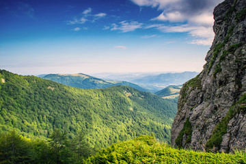 Naklejka premium Central Balkan national park in Bulgaria