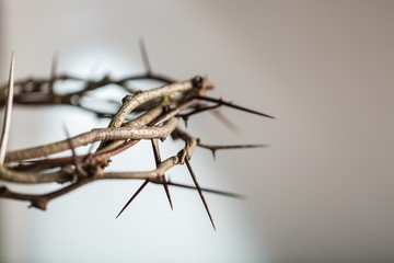 Closeup of the Crown of Thorns