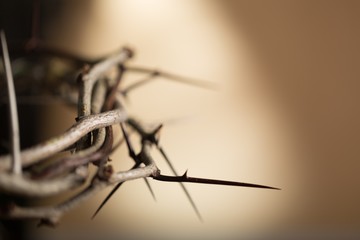 Closeup of the Crown of Thorns