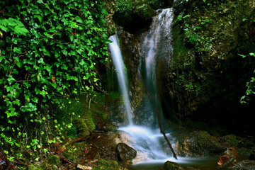 Fototapeta na wymiar Forest waterfall