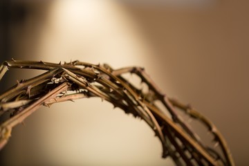 Closeup of the Crown of Thorns