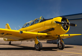 Harvard Trainer on the Ramp