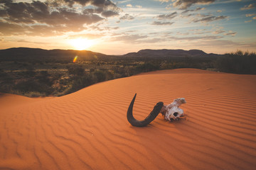 Panoramic landscape photo views over the kalahari region in South Africa © Dewald