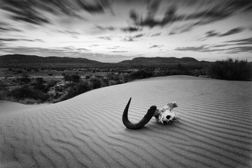 Panoramic landscape photo views over the kalahari region in South Africa