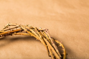 Closeup of a Crown of Thorns