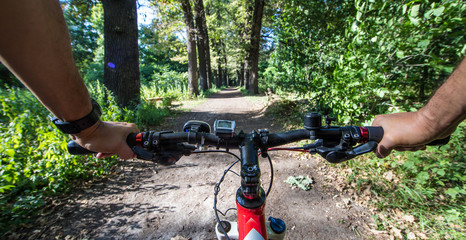 Hands on a mountain bike in a forest © serikbaib