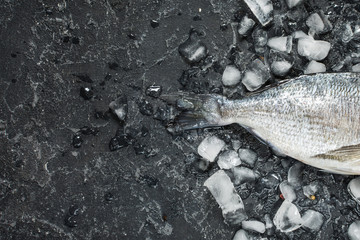 Raw fresh dorado on ice over dark stone background. Top view