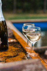 Love, romance, holiday, celebration concept. Bottle and glasses of champagne chilled by waterfall in summer forest on sunset.