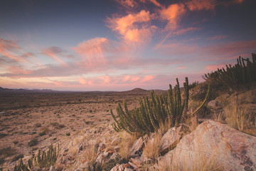 Panoramic landscape photo views over the kalahari region in South Africa