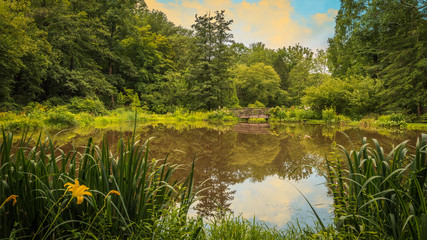 Fototapeta na wymiar Reflecting pond with wooden bridge