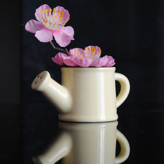 Gardening watering can ornament, with cherry blossoms inside