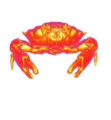 3d illustration of crab